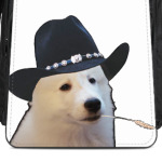 Самоедский Рейнджер