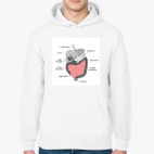 Толстовка худи