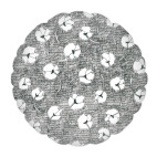 Одуванчики