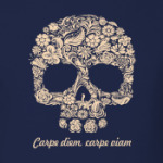 Carpe diem, carpe viam