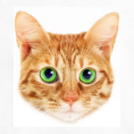  детская Red Cat