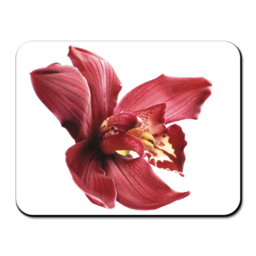 Коврик для мыши с принтом Орхидея бордо