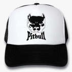 Кепки Trucker
