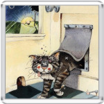  кошак нагулялся =)