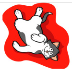 Эти веселые коты