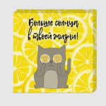 Больше солнца в твоей жизни! Позитивный кот.