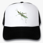 Кепки Trucker