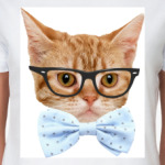 Кот в очках и бабочке