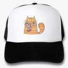 Кепки Trucker