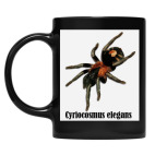 Кружка цветная UV-DTF