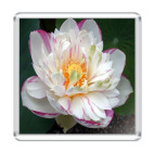 Магнит 6.5 x 6.5 см  'Лотос'