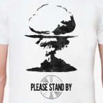 Fallout