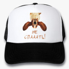 Кепки Trucker