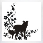 Бордер колли