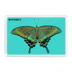 Бабочка Парусник - Махаон