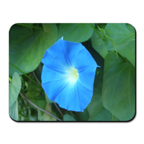 Коврик для мыши с принтом Голубая звезда