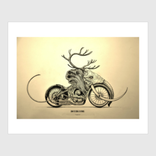 Постер с принтом Vagabond