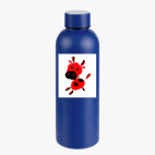 Термобутылка