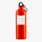 Металлическая бутылка 700 мл UV-DTF