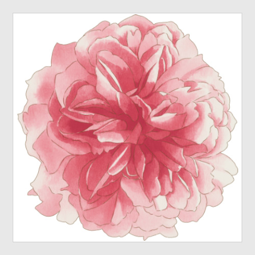 Постер с принтом Акварель