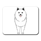 Самоед С Тобой