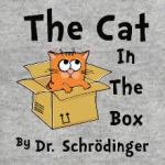 Кот Шрёдингера