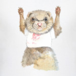 Хорек-спортсмен