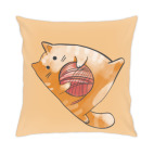 Кот Мягкот, рыжий живот!