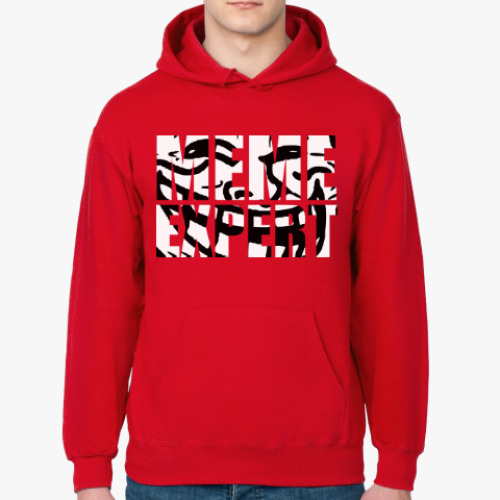 Толстовка худи с принтом Meme Expert (Troll Face)