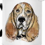 Собака - Бассет хаунд