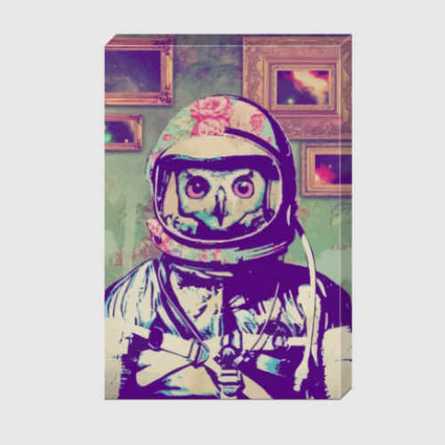 Холст с принтом Совы. Совушки. Owl. Owls.