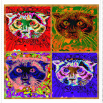 Сиамский герой