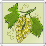  Виноград