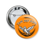 Camp Half Blood. Лагерь полукровок. Перси Джексон