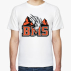 BMS