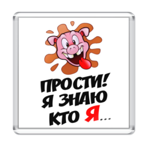 Магнит с принтом Прости! Я знаю кто я...