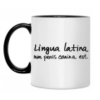 Lingua latina