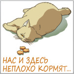  «Таити-Маити'
