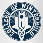 Skyrim . College of Winterhold