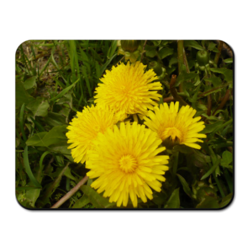 Коврик для мыши с принтом  Солнышки