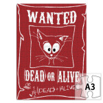  Кот Шредингера