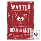  Кот Шредингера