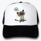 Кепки Trucker