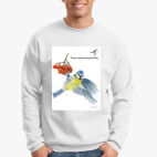 Свитшот