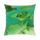 рыбы в аквариуме