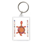 черепашка из Африки