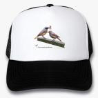 Кепки Trucker
