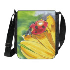 Божья коровка