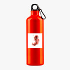 Металлическая бутылка 700 мл UV-DTF