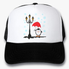 Кепки Trucker